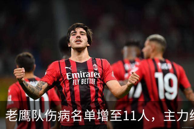 老鹰队伤病名单增至11人，主力线卫脑震荡缺席训练